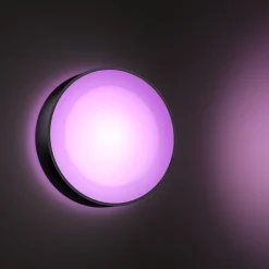 WCA DAYLO UDENDØRS VÆGLAMPE 15W SORT>Philips Hue Clearance