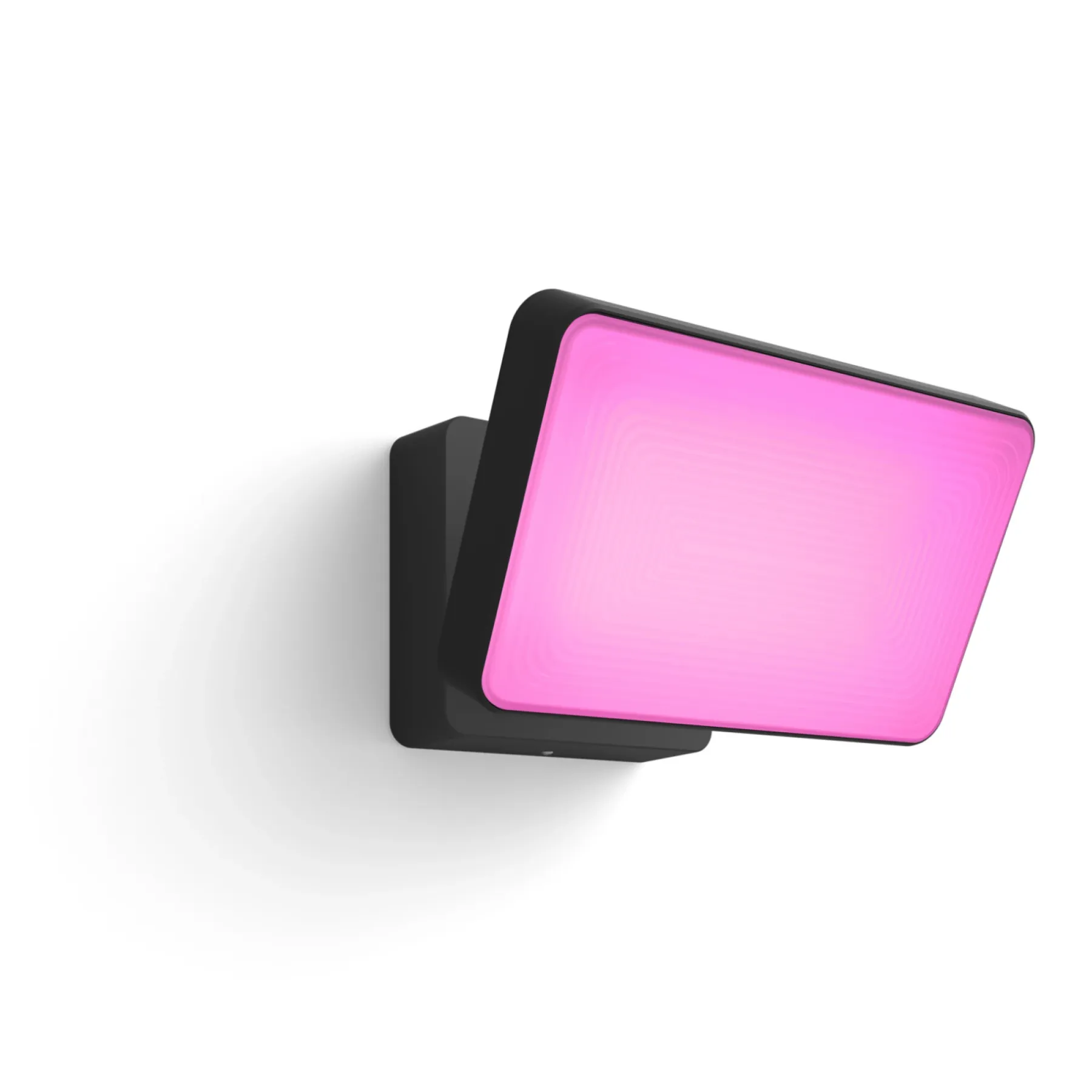 WCA DISCOVER UDENDØRS VÆGLAMPE 31W SORT>Philips Hue Best