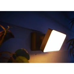 WCA DISCOVER UDENDØRS VÆGLAMPE 31W SORT>Philips Hue Best