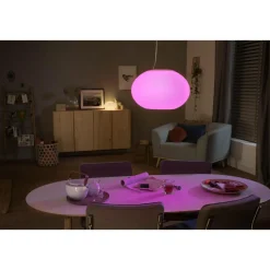 WCA FLOURISH PENDEL HVID 40,1 CM>Philips Hue Hot