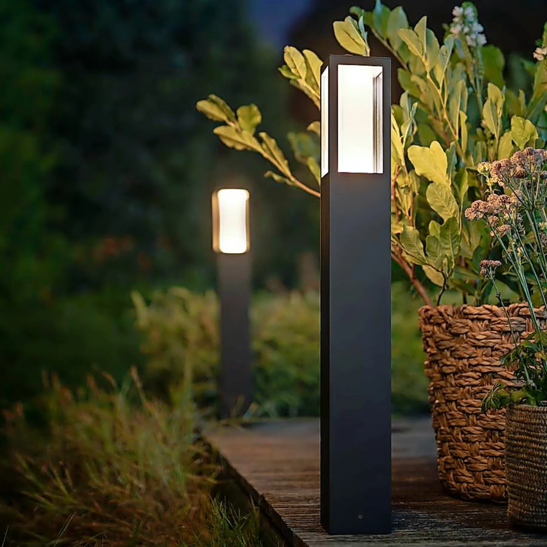 WCA IMPRESS BEDLAMPE SORT 77 CM>Philips Hue