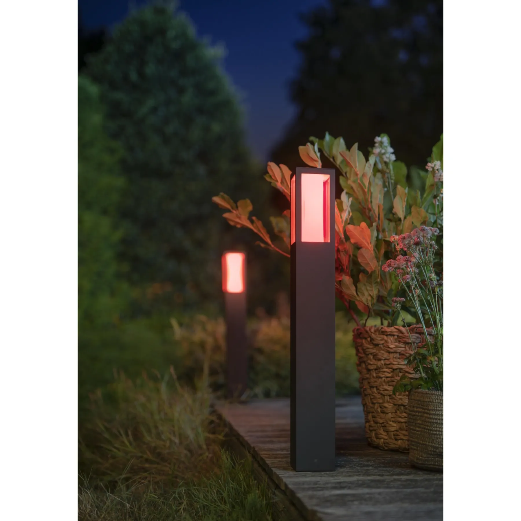 WCA IMPRESS BEDLAMPE SORT 77 CM>Philips Hue
