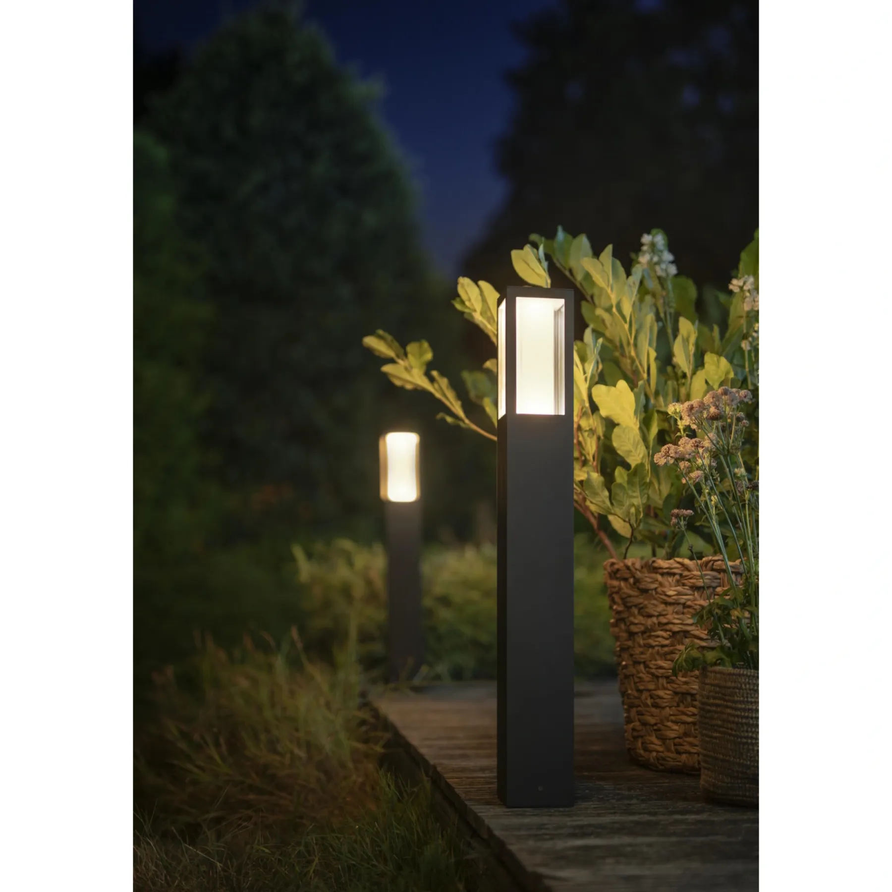 WCA IMPRESS BEDLAMPE SORT 77 CM>Philips Hue
