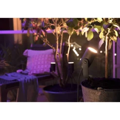 WCA LILY BASIS SPOTLAMPE SORT INTEGRERET LED 8W>Philips Hue New