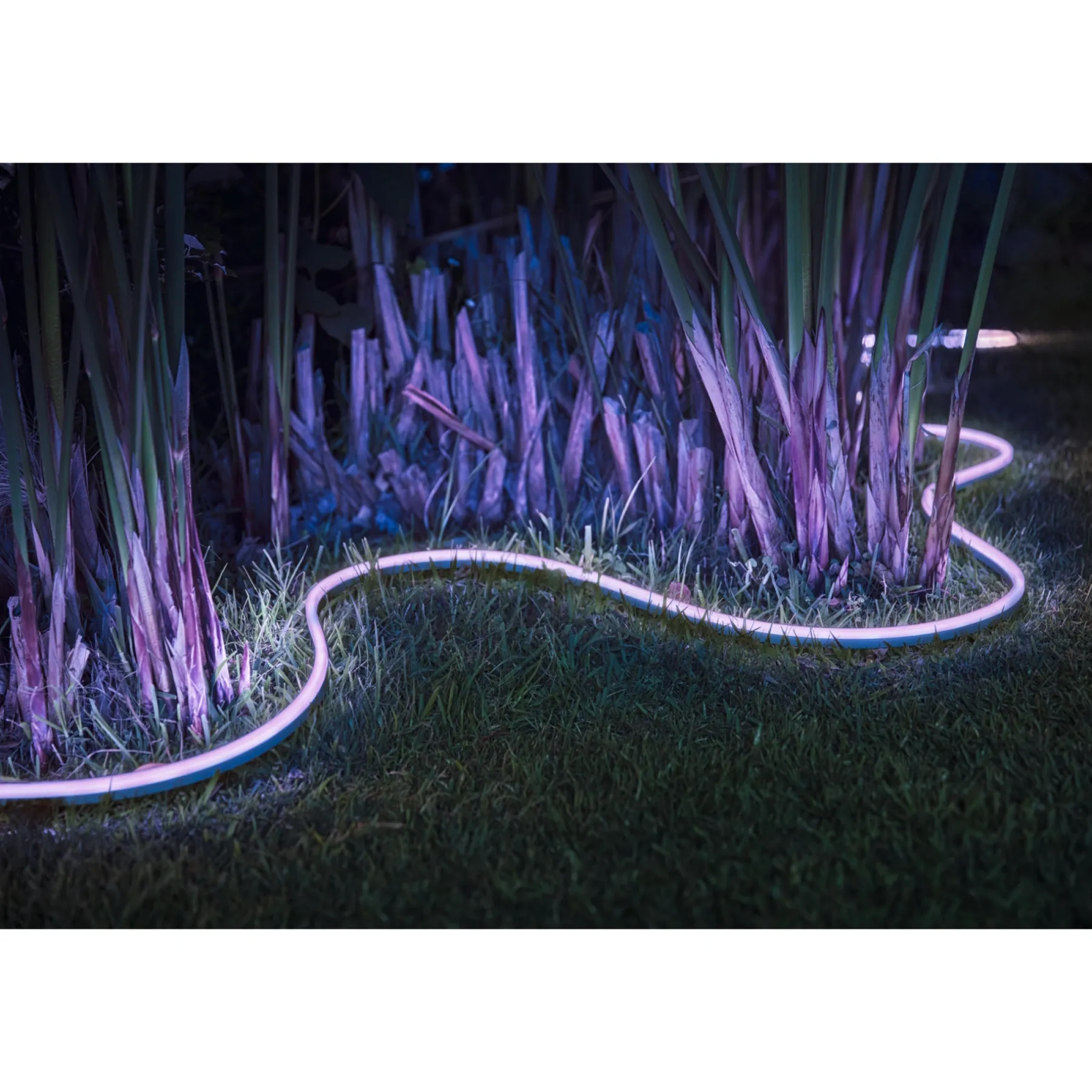 WCA 2M UDENDØRS LIGHTSTRIP 20W 200 CM>Philips Hue Best