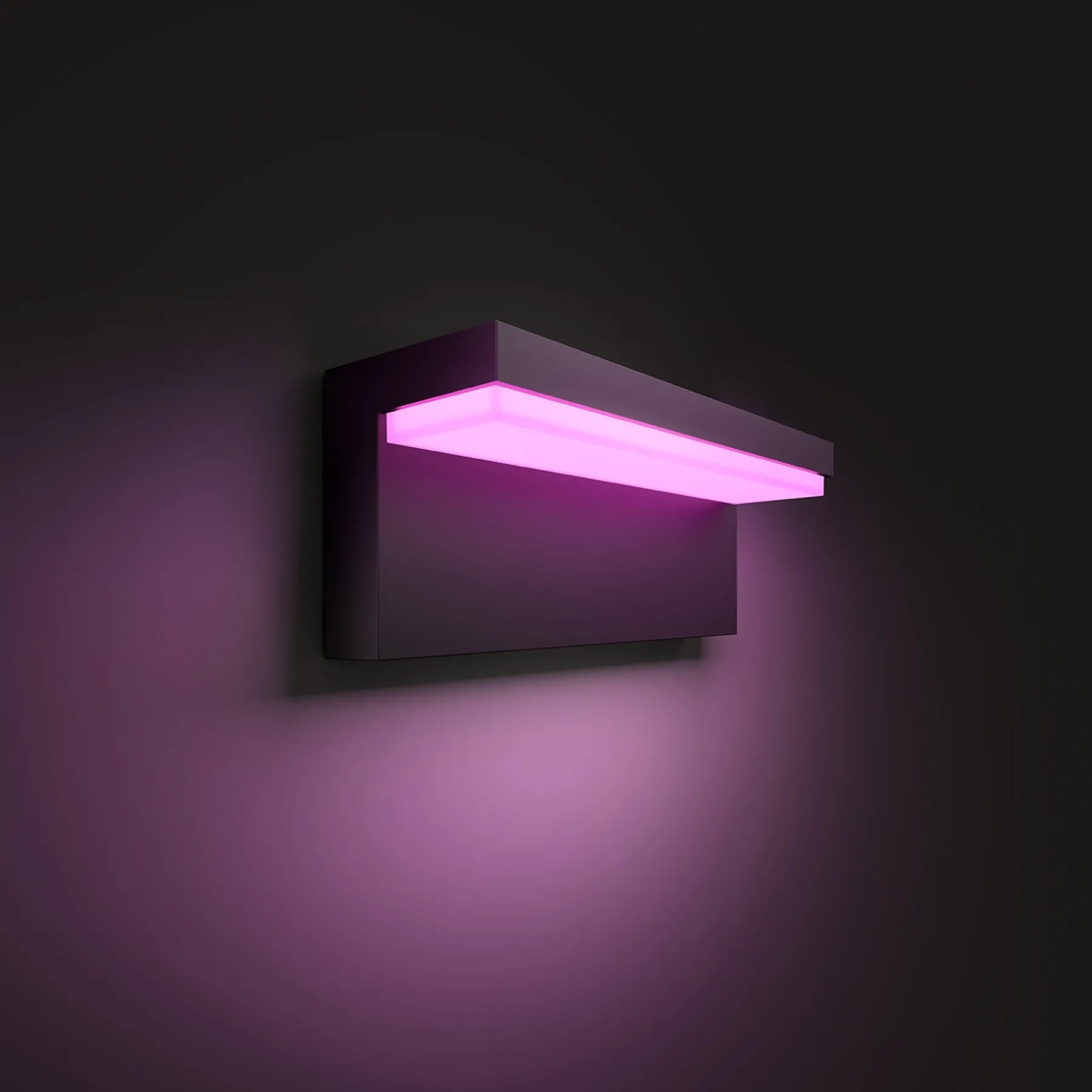 WCA NYRO UDENDØRS VÆGLAMPE 14W SORT>Philips Hue Clearance