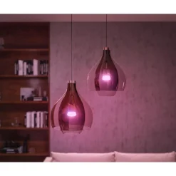 WCA SMART, 2 X E27, BRIDGE, DIM. SWITCH & PLUG STARTSÆT>Philips Hue Online