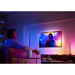 WCA WCA BORDLAMPE SORT 55,3 CM>Philips Hue