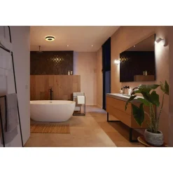 WCA XAMENTO LOFTLAMPE 33W SORT 38,1 CM>Philips Hue Clearance