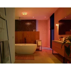WCA XAMENTO PLAFOND 34W HVID 437 MM>Philips Hue Best