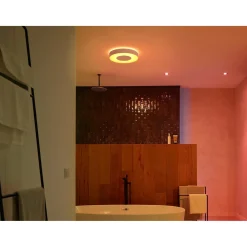WCA XAMENTO PLAFOND 53W HVID 476 MM>Philips Hue Outlet
