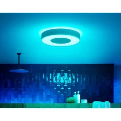 WCA XAMENTO PLAFOND 53W HVID 476 MM>Philips Hue Outlet