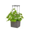 TIL SELVVANDENDE PLANTEKASSE ESPALIER SORT>Pindstrup Discount