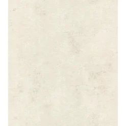 Tapet & Glasvæv ^ Rasch STUDIO 2027 BETONLOOK TAPET 0,53X10 M
