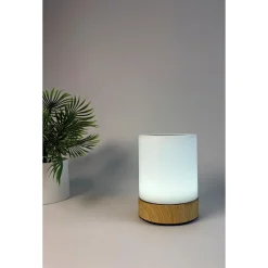 Genopladelige Lamper ^ Veli Line MOOD LIGHT GENOPLADELIG BORDLAMPE MULTI