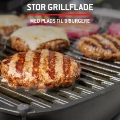 Gasgrill ^ Weber Q 1100N GASGRILL SORT