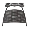 Q 1000/2000 STANDER>Weber Clearance
