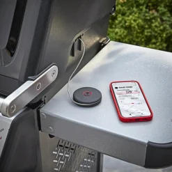 SMART PROBE STEGETERMOMETER>Weber Best