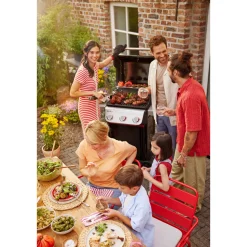 SPIRIT E-335 GASGRILL SORT>Weber Hot