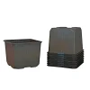 Frø & Spiring ^ Weibulls UDPLANTNINGSPOTTE 11 CM